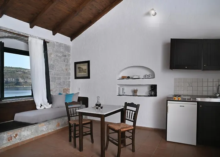 Selana Studios Néon Oítilon